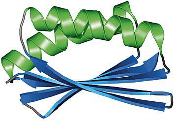 РНК и ДНК свят