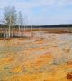 Ярко оранжев пейзаж в околностите на мина близо до село Левиха в Урал. Водата, смесвайки се под земята с медния пирит, който има високо съдържание на сяра, образува смес от сярна киселина с голямо количество мед и други метали. И всичко това изтича. Сега водата от мината се разлива на повърхността, създавайки космически пейзажи. <br>Снимка : Наш Урал