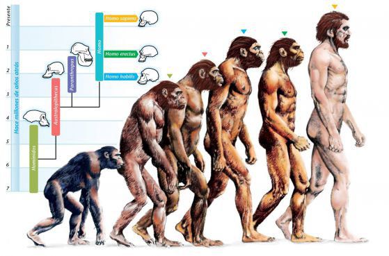Хората още са в процес на еволюция
