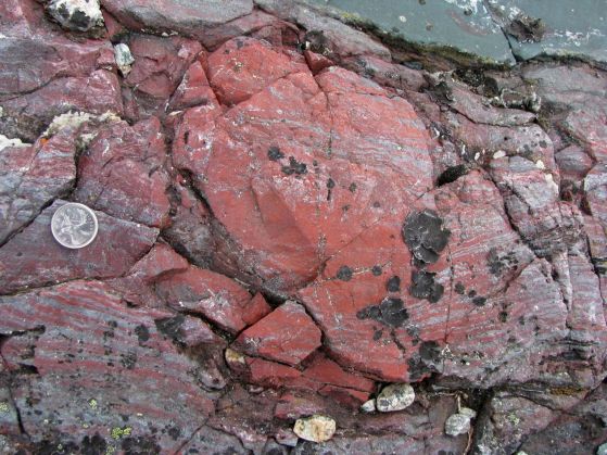 Древна скала, съдържаща микрофосили