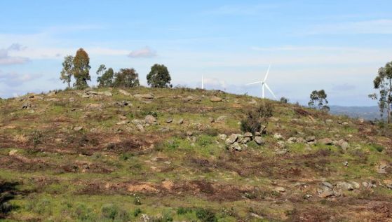 Снимка на затревен връх на хълм в Ла Торе-Ла Янера, Испания. Представлява предимно тревист хълм, с около 6 дървета. На заден план се вижда синьо небе с няколко мъхести облака и няколко вятърни турбини.
