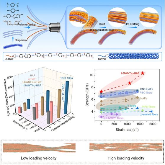 Графично резюме. Кредит: Matter (2025). DOI: 10.1016/j.matt.2025.102496