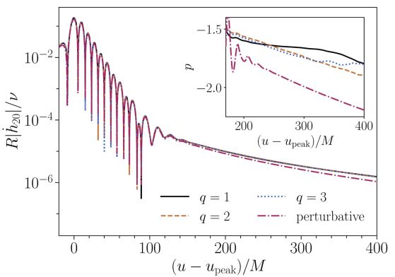 Еволюция във времето на производната по време на амплитудата на най-силния мод в сигнала на гравитационната вълна, както би се наблюдавало от нашите детектори. Показани са резултати за различни съотношения на масите на черните дупки-предшественици и са сравнени с пертурбативния лимит на изключително малка черна дупка, падаща в много по-голяма. Опашният компонент на сигнала съответства на неосцилиращото поведение, което доминира в късни времена, след като фазата ringdown е приключила. Вложката показва степенния показател във времето, който характеризира опашката в късния етап. Кредит: De Amicis et al.