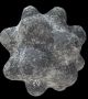 Едни от най-загадъчните обекти, създадени от човека от късната каменна ера в Европа, са сложно гравирани каменни топки, всяка с размери около топка за тенис, продължават да озадачават археолозите повече от 200 години, откакто са открити за пръв път. <br>Снимка : National Museums Scotland