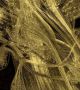 "Саморефлексия" е арт проект на един невроучен и физик. Той показва красотата и сложността на мозък. <br>Снимка : Greg Dunn, Brian Edwards