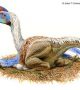 Според последни изследвания, преходът от динозаври към птици е бил плавен. Това са част от колекцията "свързващи звена": 